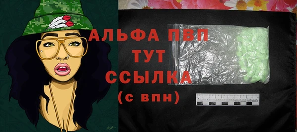 соль ск Новодвинск