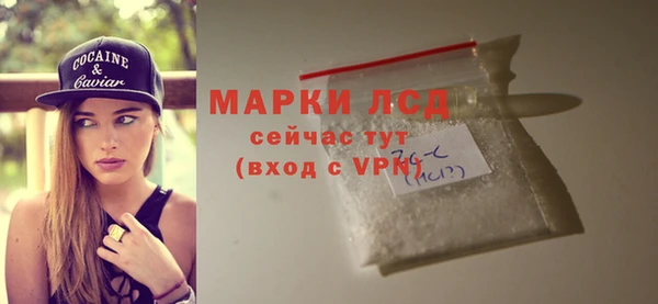 мет Няндома