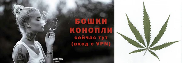 мет Няндома