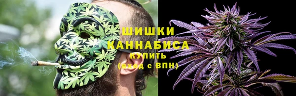 мет Няндома