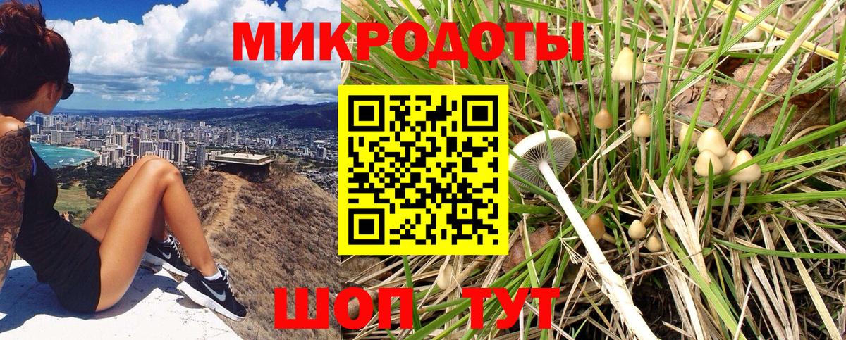 Псилоцибиновые грибы мицелий Отрадное