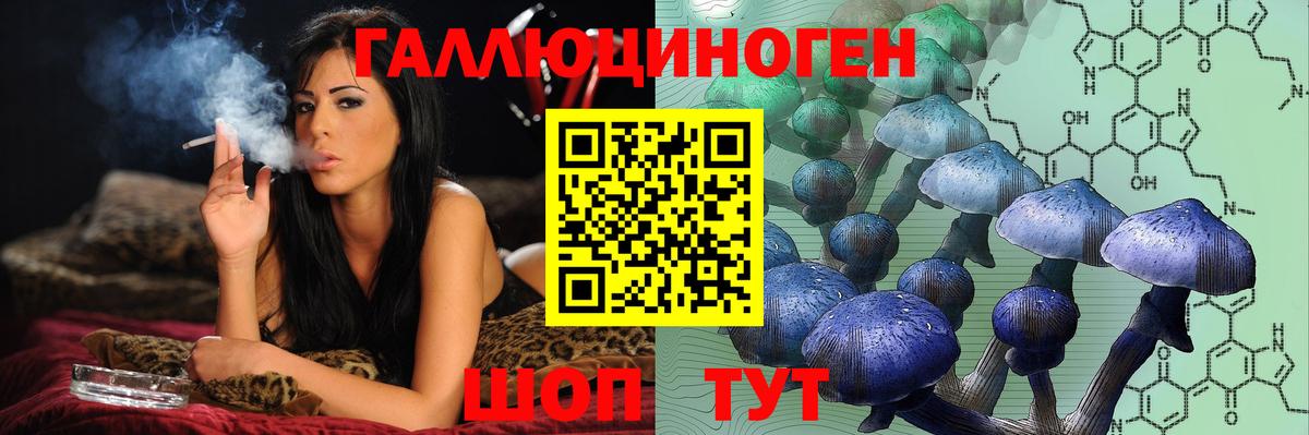 ГАШИШ  Каннабис  МДМА  Кетамин  APVP СК   Метадон  Меф   Отрадное  Где продают наркотики?  ГАШ  Вход с VPN  COCAIN 
