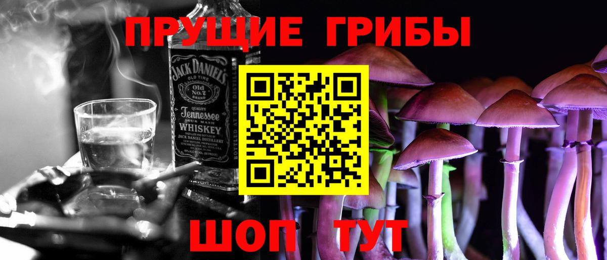 Галлюциногенные грибы Psilocybe  Псилоцибиновые грибы Cubensis  Отрадное 